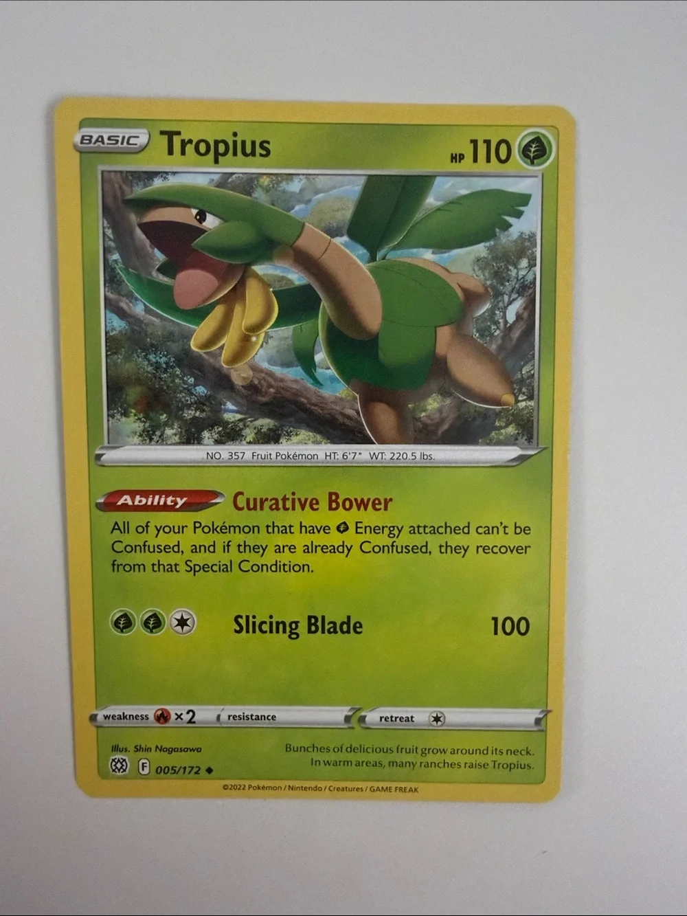 🌿 Forest Pokémon Card Lot | Tropius Maractus Burmy Wormadam Crustle ✨5/$25✨